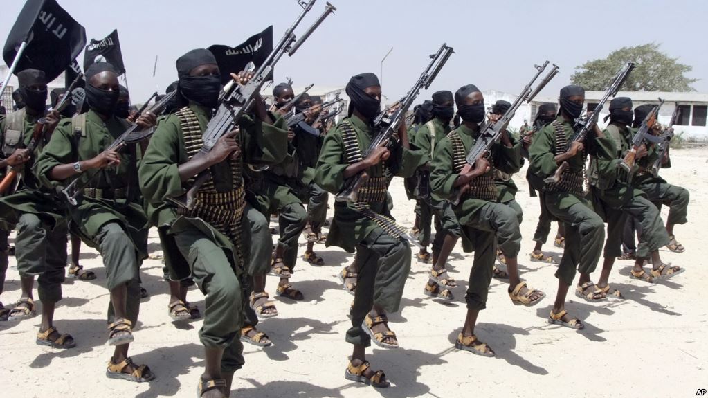 You are currently viewing Somalia Seeks Easing of Arms Embargo in Effort to Defeat al-Shabab