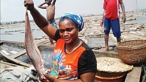Read more about the article National   Nigeria loses $70m to illegal fishing, others yearly