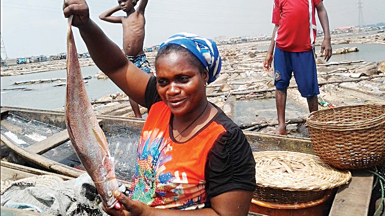 Read more about the article National   Nigeria loses $70m to illegal fishing, others yearly