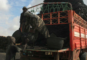 Read more about the article The UAE still supports al-Shabaab through Somalia’s illicit charcoal trade
