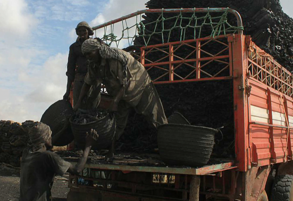 You are currently viewing The UAE still supports al-Shabaab through Somalia’s illicit charcoal trade