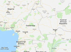 Read more about the article Maritime security: Cameroon hosts international conference on stowaways