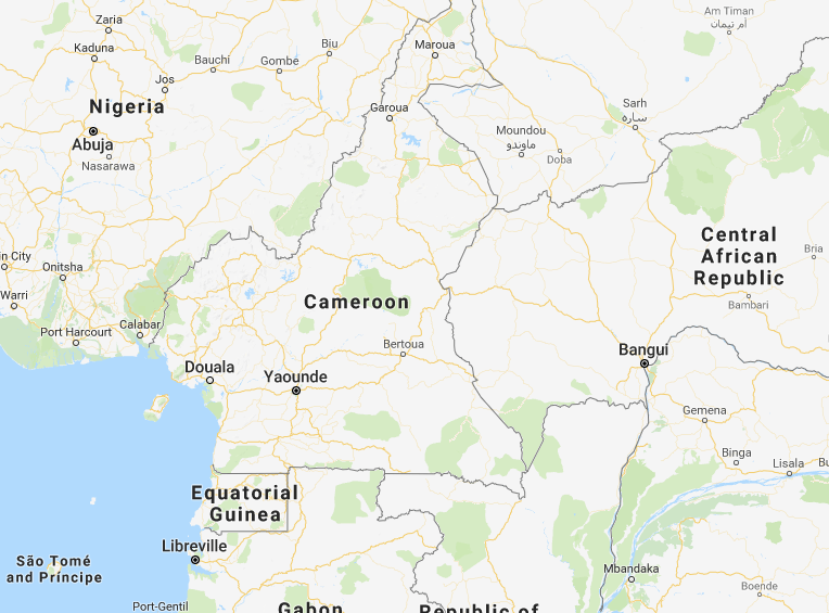 You are currently viewing Maritime security: Cameroon hosts international conference on stowaways