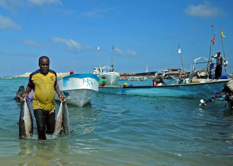 Read more about the article Off West Africa, navies team up in fight against piracy