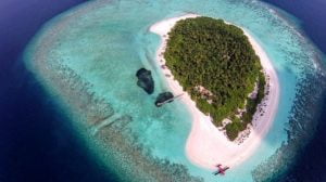 Read more about the article Rising Seas Lead to Shifting Alliances