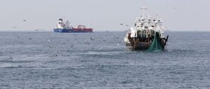 Read more about the article From Djibouti to Jeddah, the Western Indian Ocean needs security